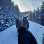 Vakantiehuis Spiska Dolina Łapsze Niżne
