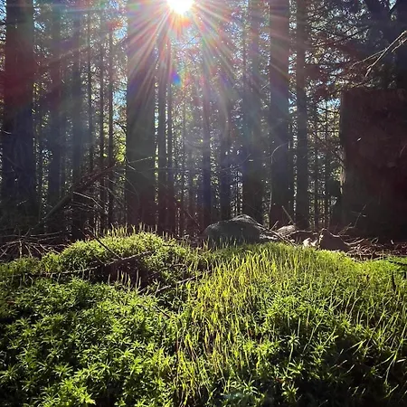 Spiska Dolina بيت للعطل *