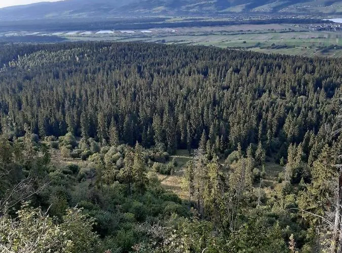 別荘 Spiska Dolina *