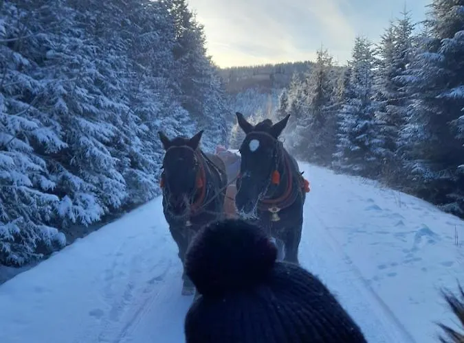 Nyaraló Spiska Dolina Łapsze Niżne