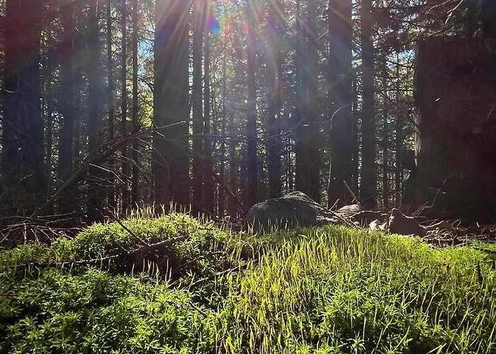 Spiska Dolina 別荘 *